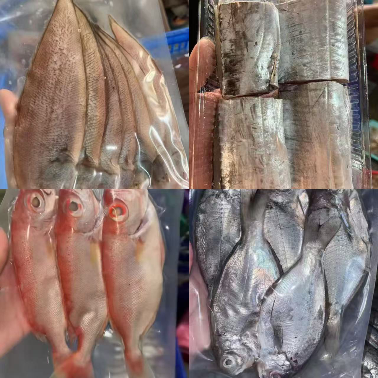 【燕子专属】惠来鱼套餐，带鱼，龙舌，红心鱼，黄提，花仙，红目连，海织