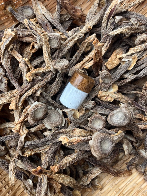 菌子LZ3  重量5克 可搭配珍珠粉