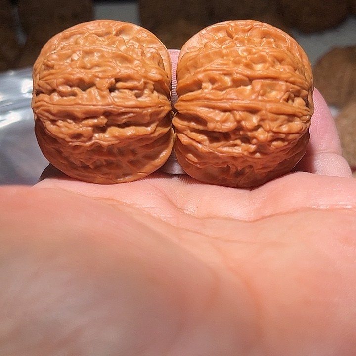 ໑***࿐木40山地磨哦。     