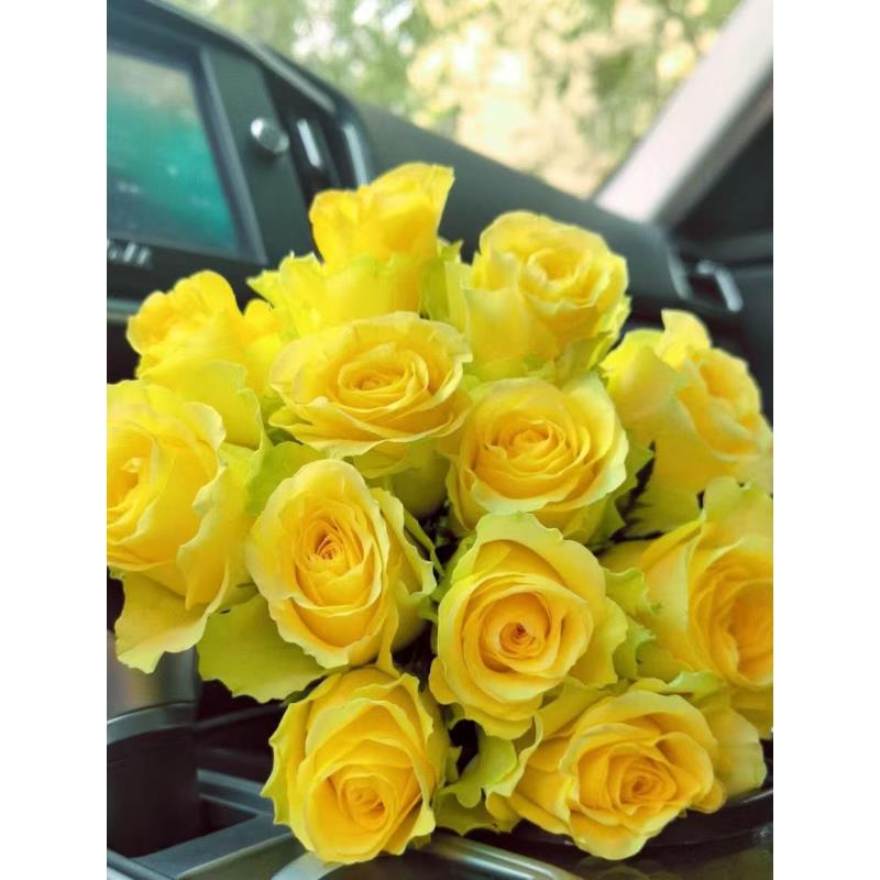 小艳【浪漫沙滩】家庭同地址两单京东或顺丰送货上门+配草1扎