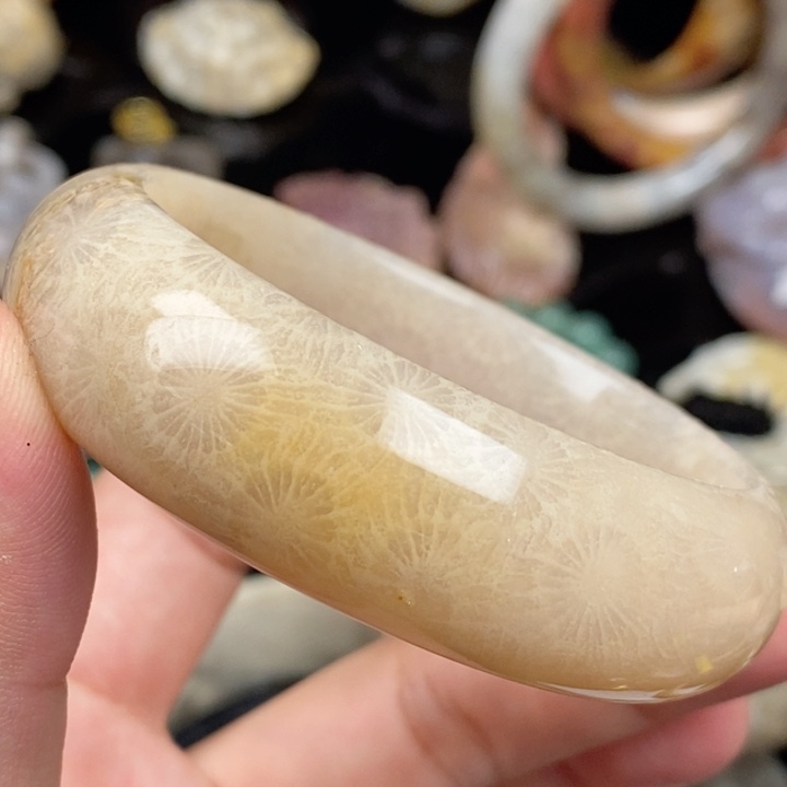 未镶嵌手镯硅化玉52