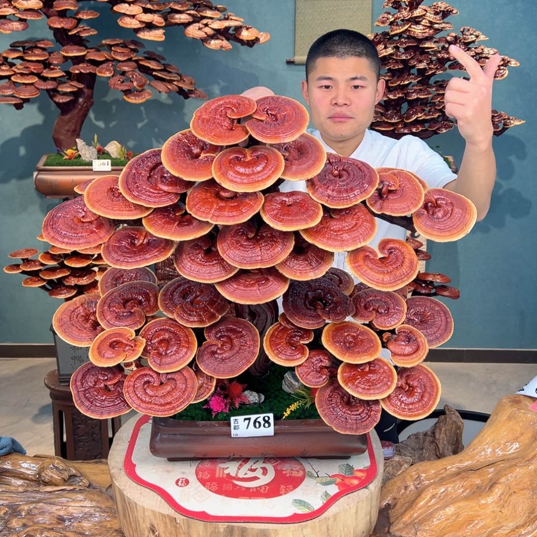 无花朵8888888888888