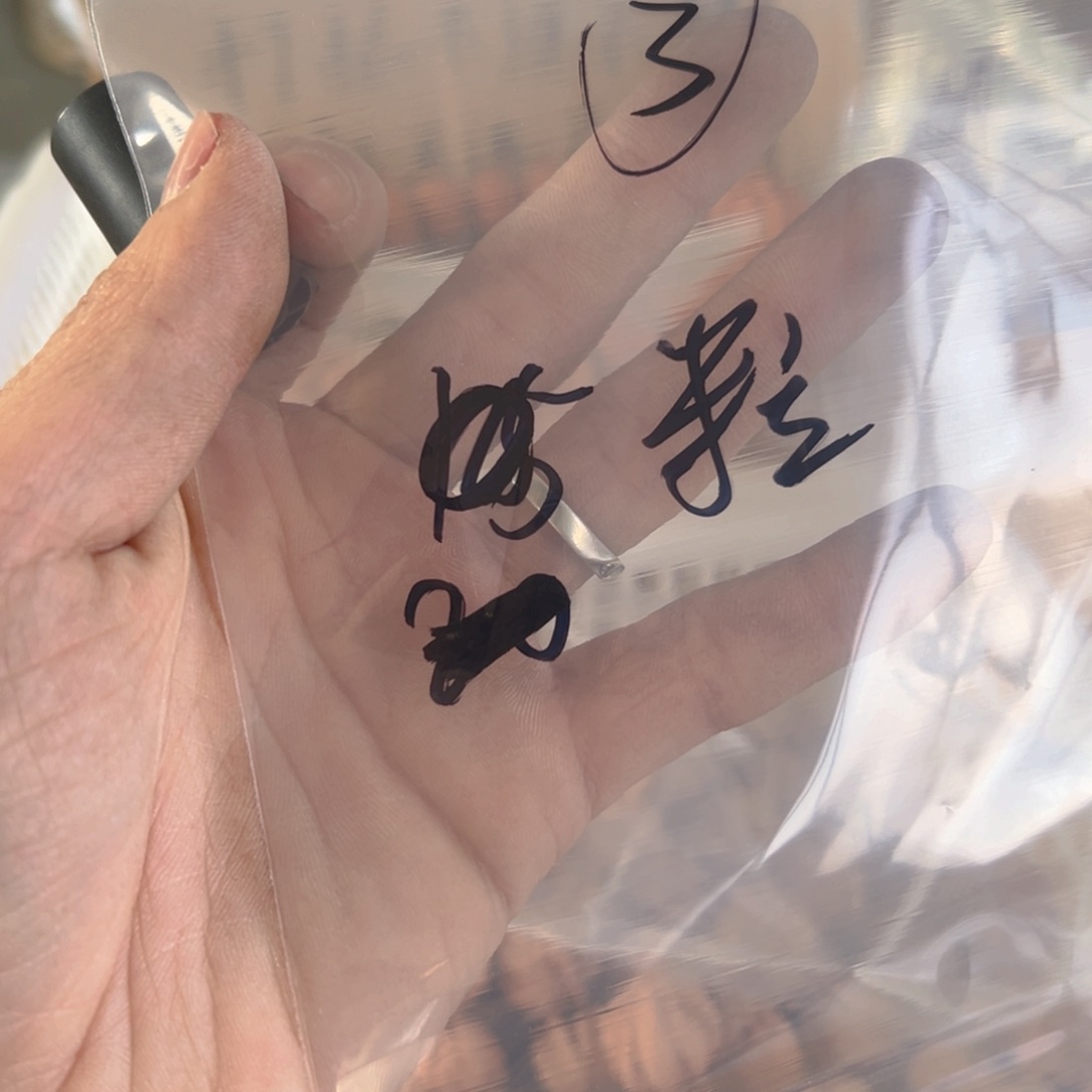 文玩核桃手串杜*鹏小核桃3