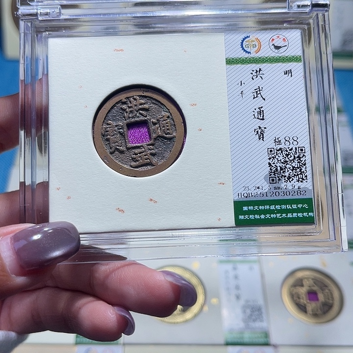 铜福宝洪武通宝0282