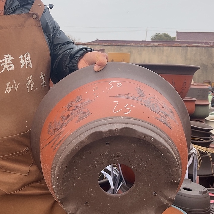 紫砂花盆紫砂花盆盆栽