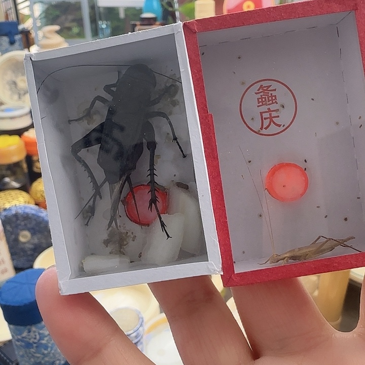 清***柔精品黑➕柬竹66666666