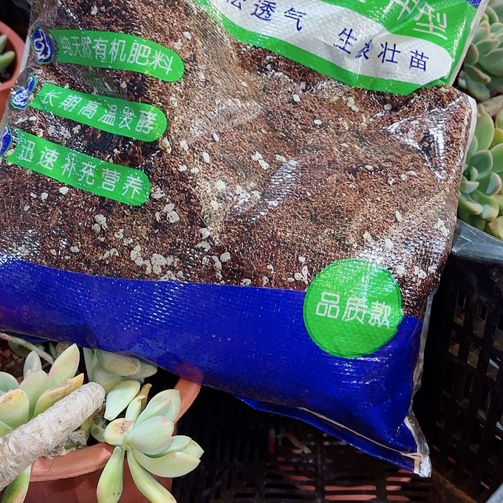 60％多肉植物颗粒土