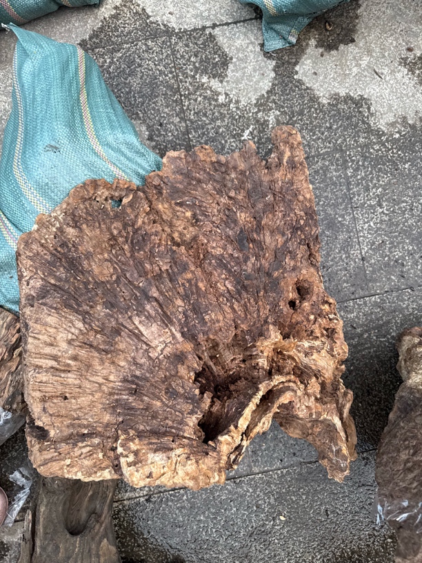 民间使用风化木阴沉木