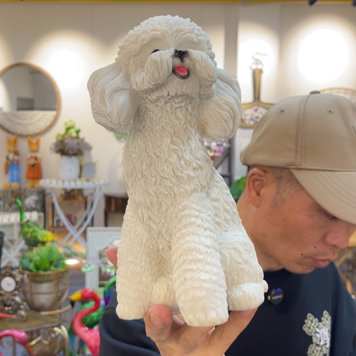 哈哈哈哈哈哈哈哈