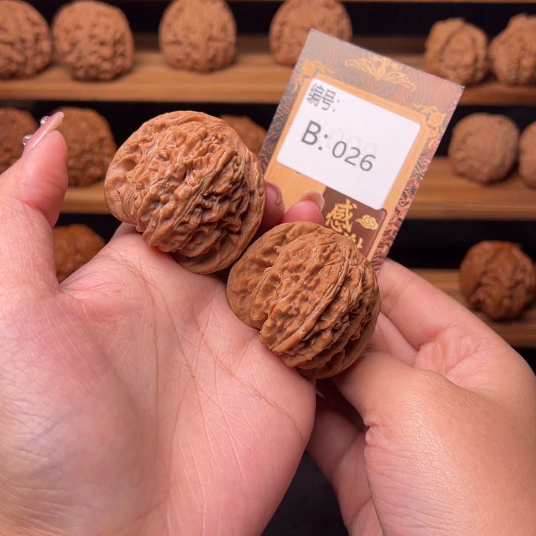 核桃b026四座楼4.5全品