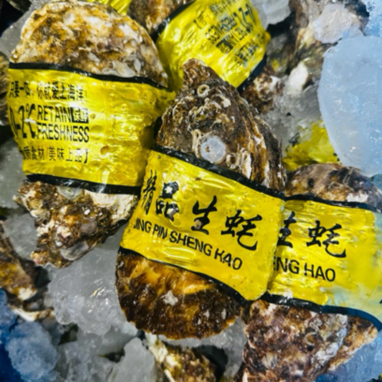 精品乳山生蚝500G(4两/只）