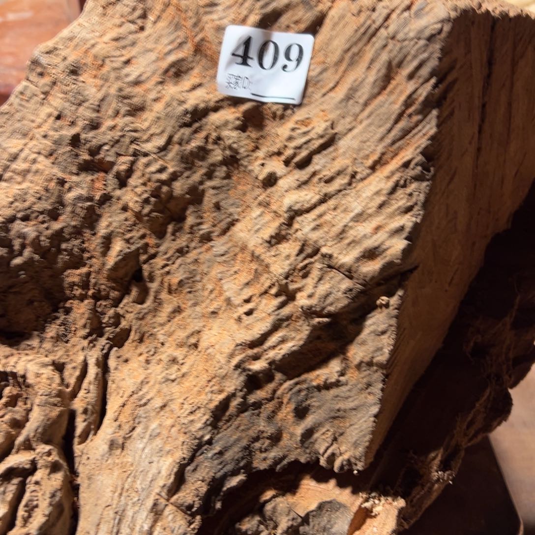 天***蛋大果紫檀（缅甸花梨）