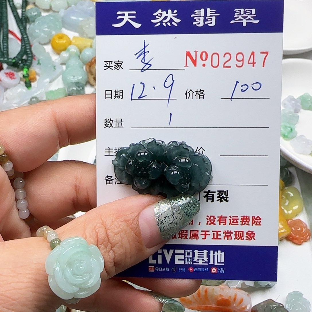 李***柔翡翠未镶嵌颈饰555