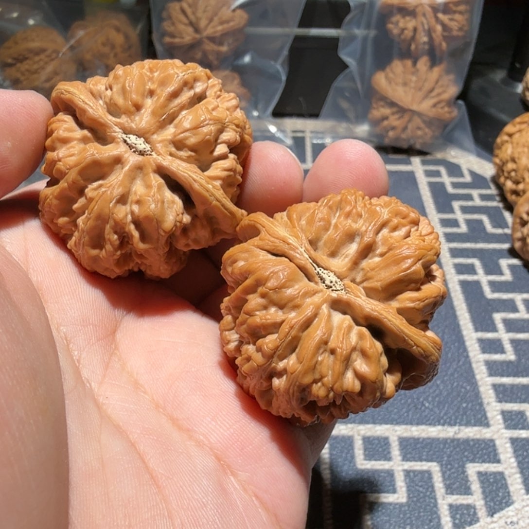 文玩核桃把件陈*菲大粗筋