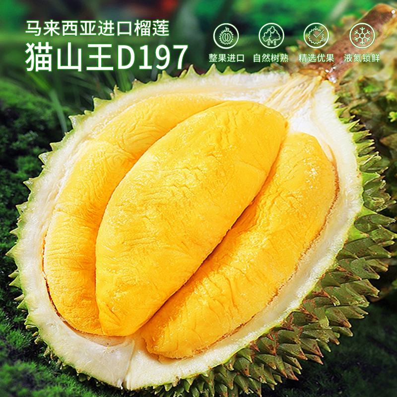 【猫山王保4房】马来西亚进口D197严选树熟液氮猫山王榴莲顺丰香糯