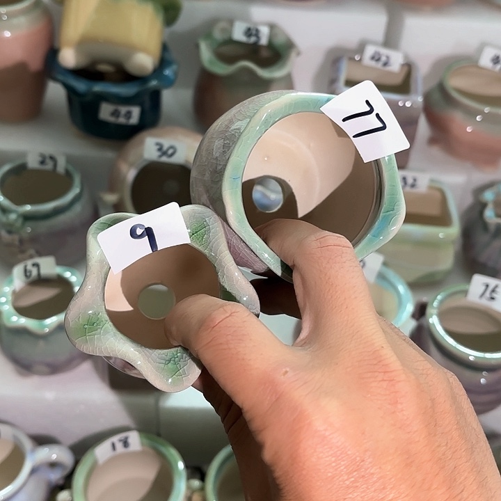 红陶量货｜口高深浅搭配发6