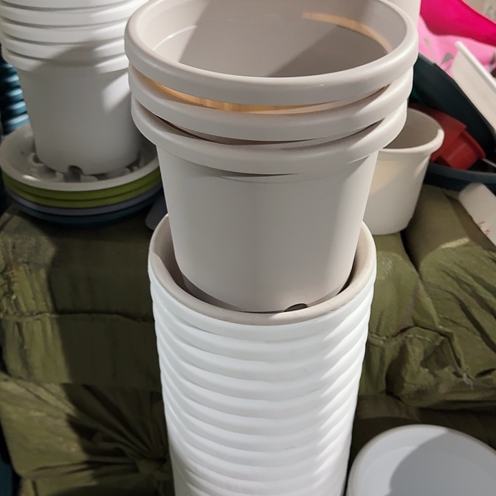 四季3#口径21灰白10个带托