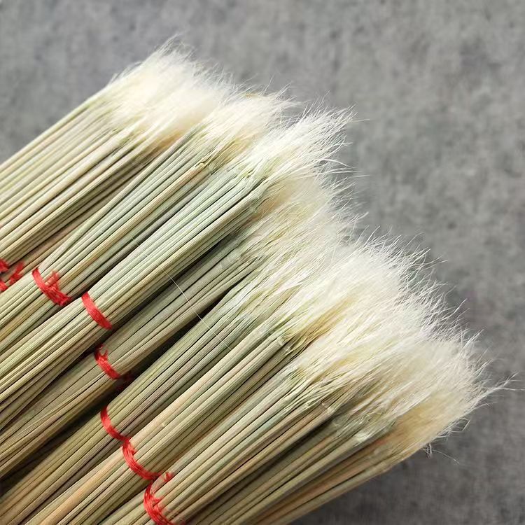 蟋蟀开牙草斗场专用斗蛐蛐工具当季新青草