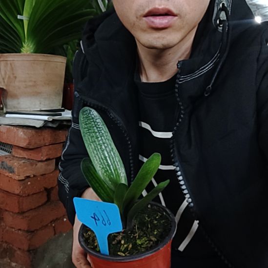 【闪购商品】完全开放