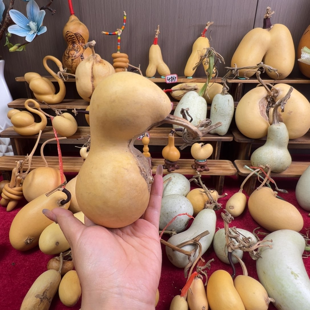 ～***～懂了吧你懂了吗我的宝我的宝好