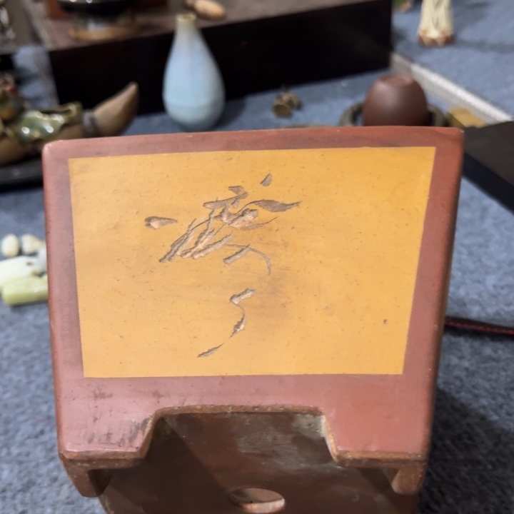 释*花，，，，，，，，，，