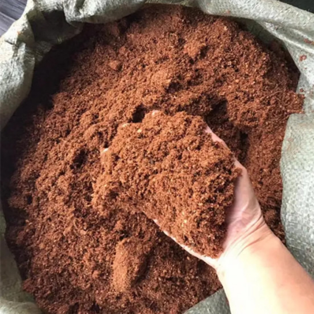 必选寄居蟹高泡发椰砖