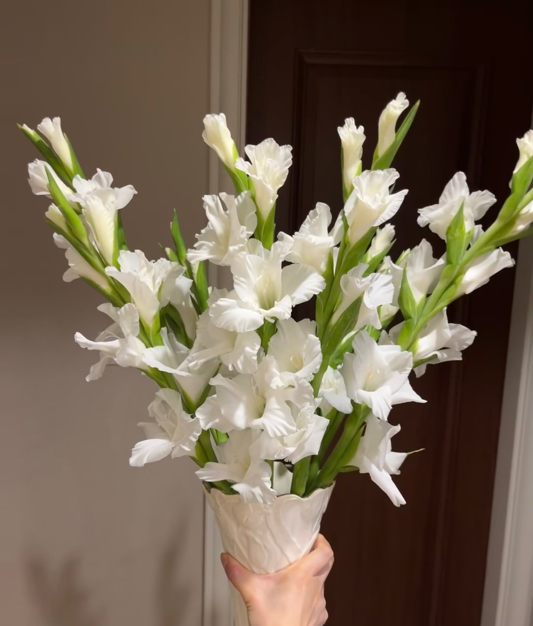 白色剑兰5支/10支   批发花店   基地直发