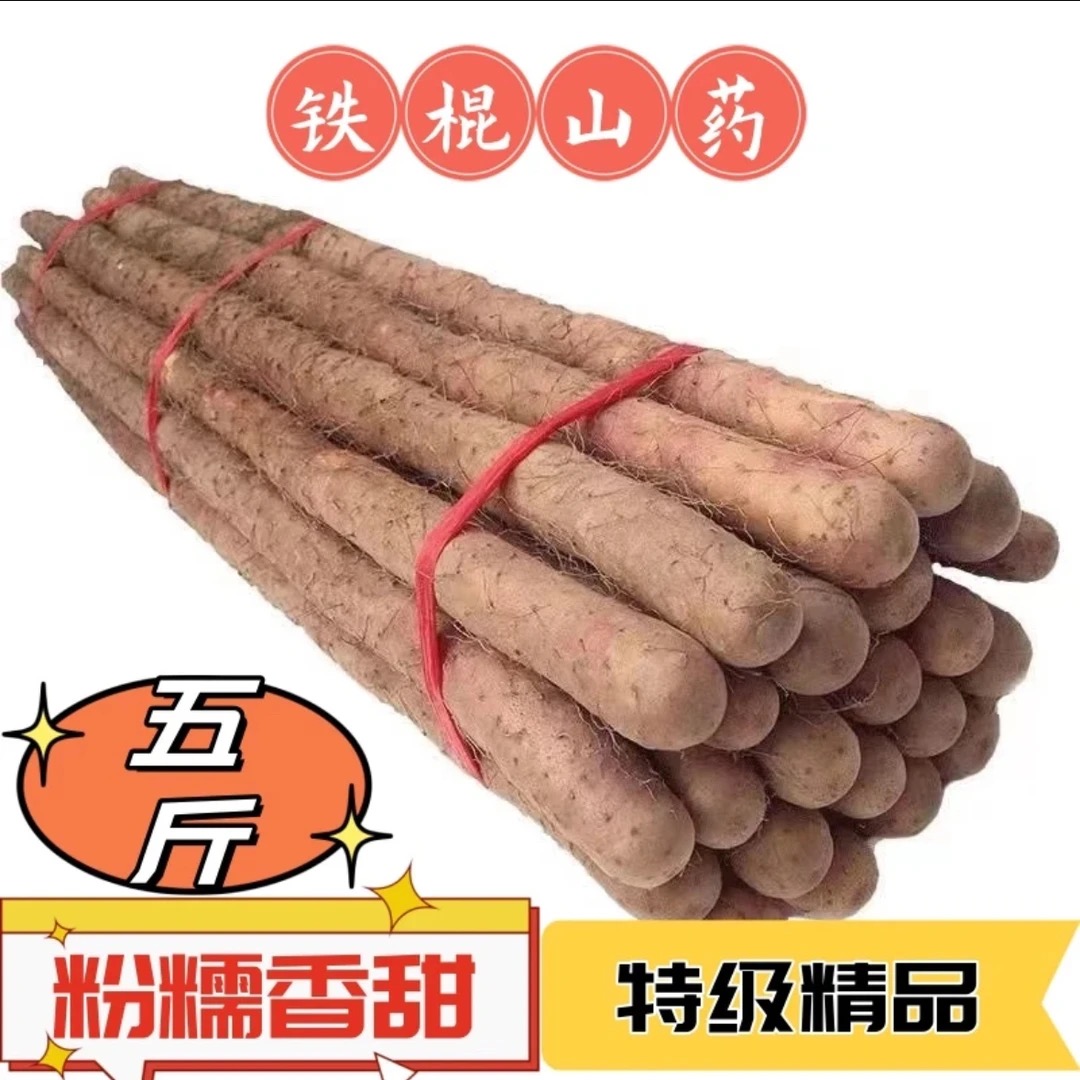 【产地直发】蠡县铁棍山药现挖现发【5斤装】垆土地种植软糯香甜