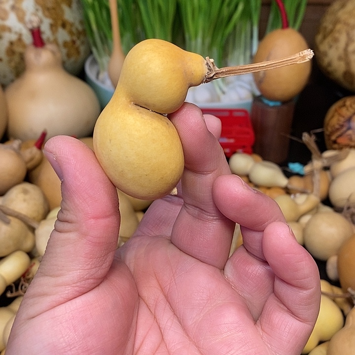 中*精品葫芦手把葫芦107