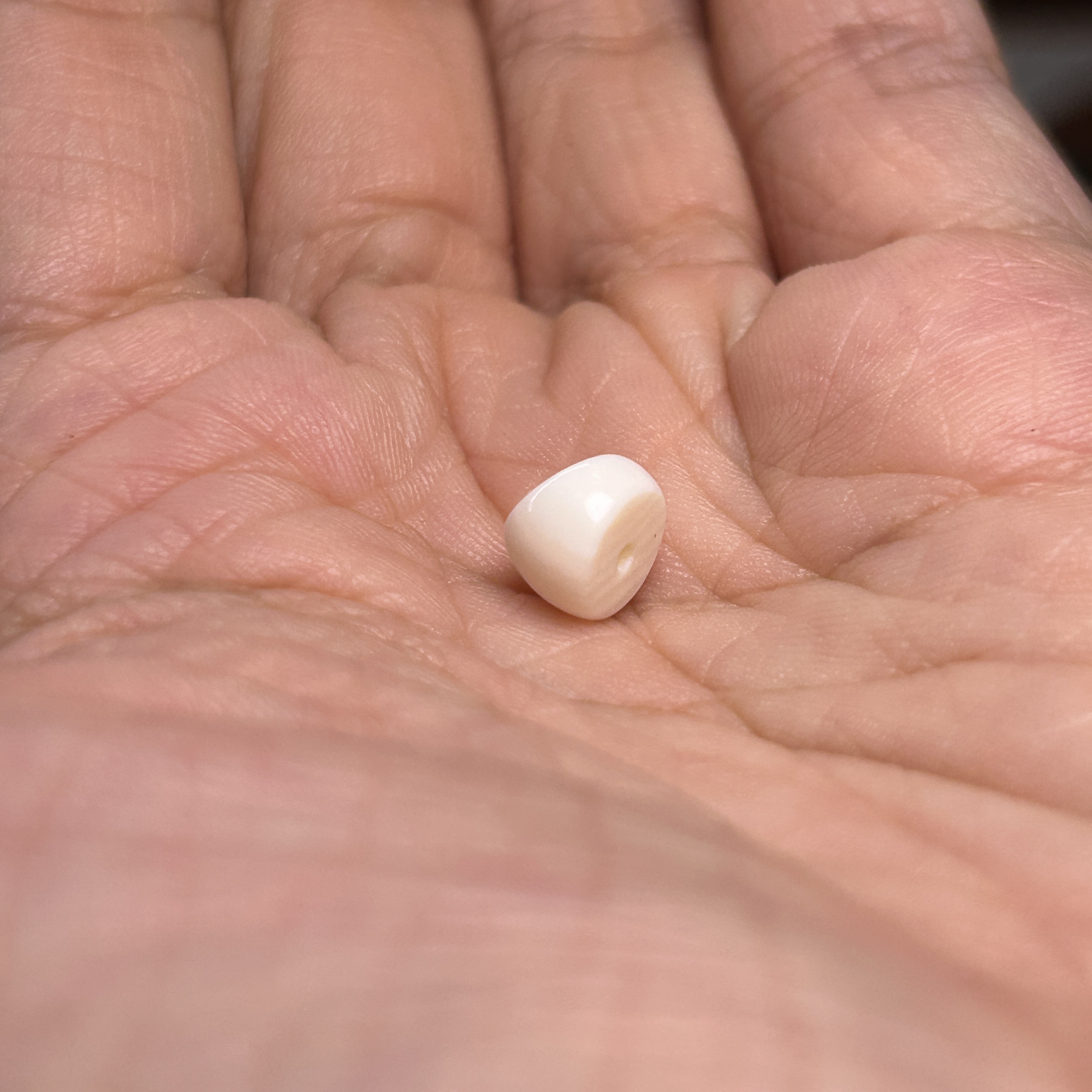 GY「猛犸大肠」｜8mm 单颗裸石 文玩配饰