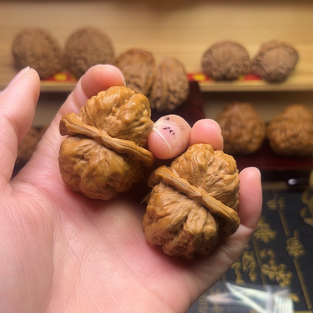 大叶紫檀（黑酸枝木类）