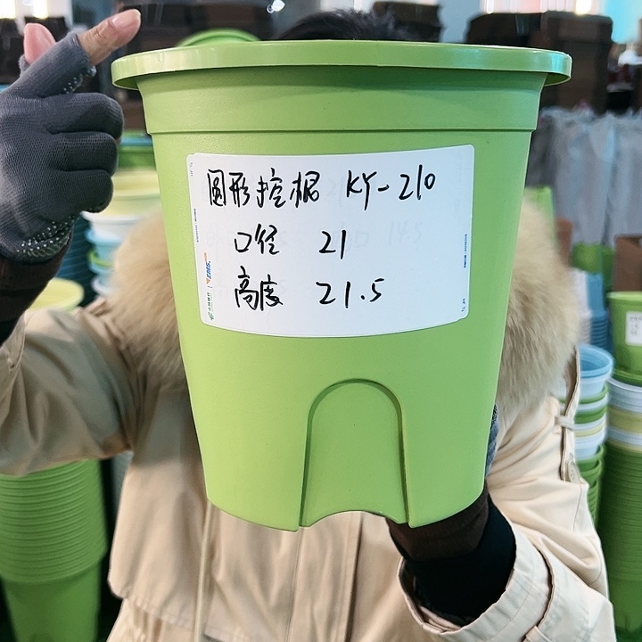 正品圆形控根口21高21果绿色8个无托