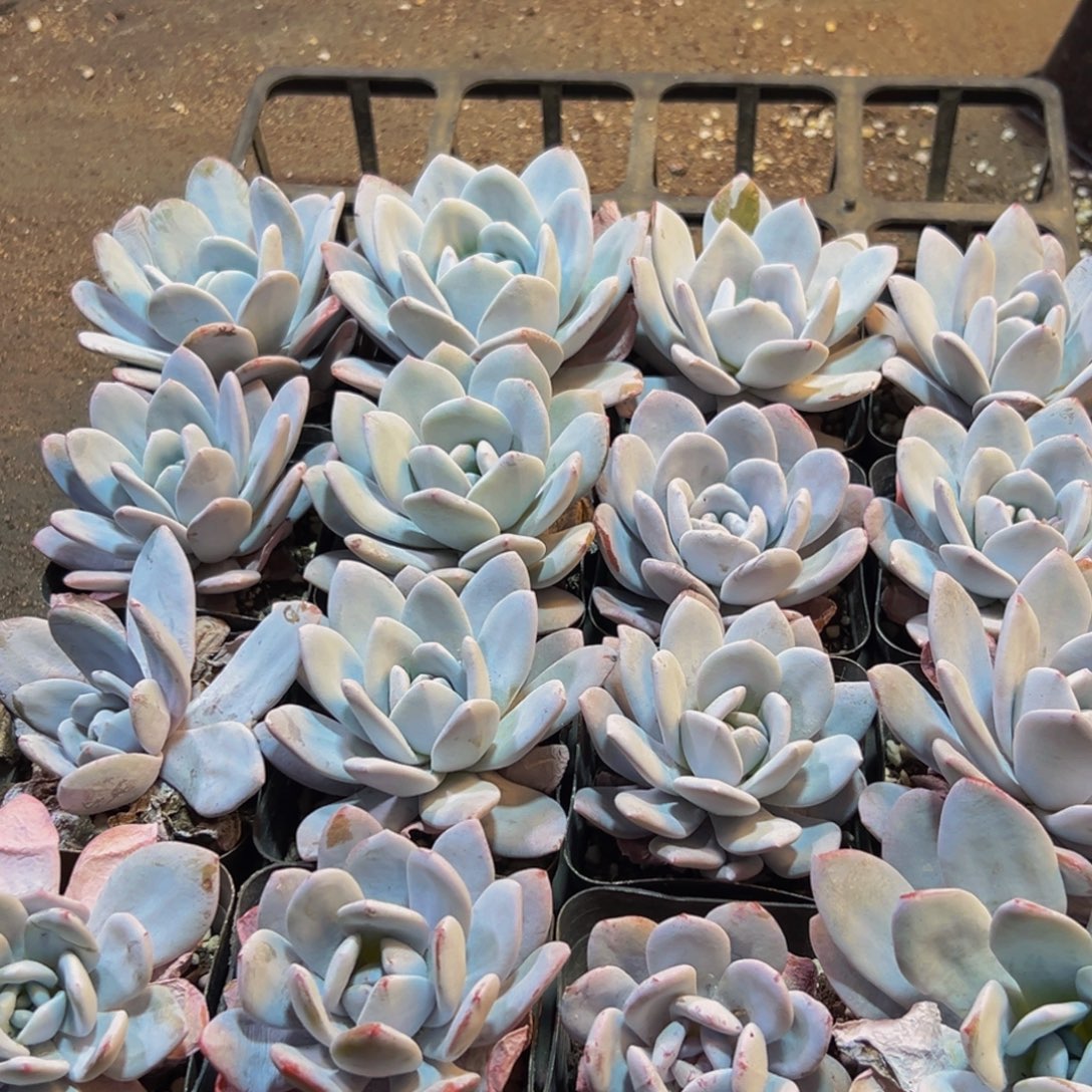 014大热的一天终于过去啦