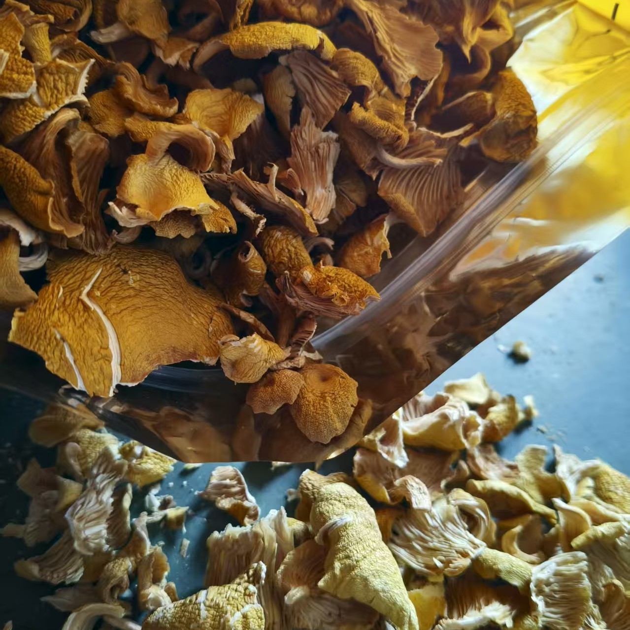 东北榆黄蘑碎片可包包子包饺子炒菜煲汤包邮