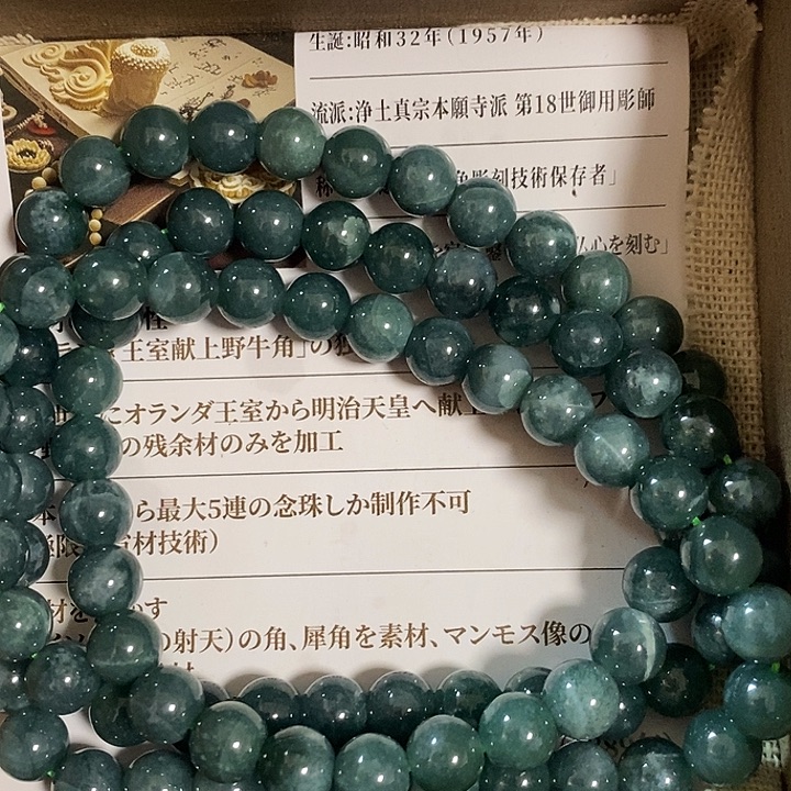 清***雨大叶紫檀（黑酸枝木类）