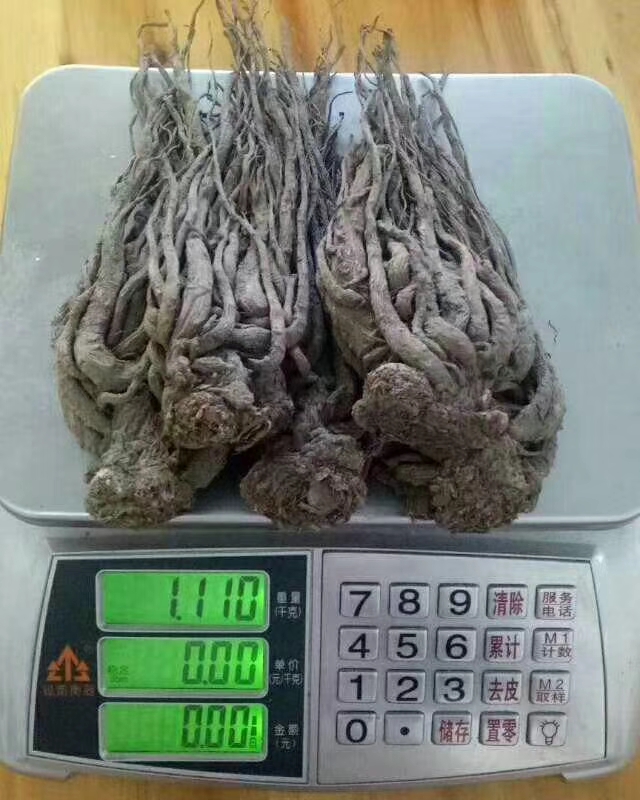 岷县当归特级正宗甘肃整条无硫炖汤全归煲汤头可配党参黄芪补气血