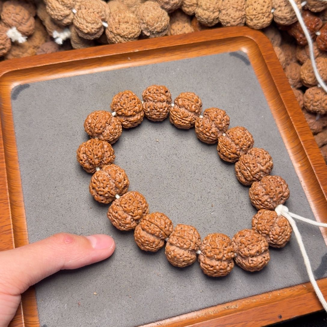 2号尼泊尔大金刚21粗筋梅花五龙