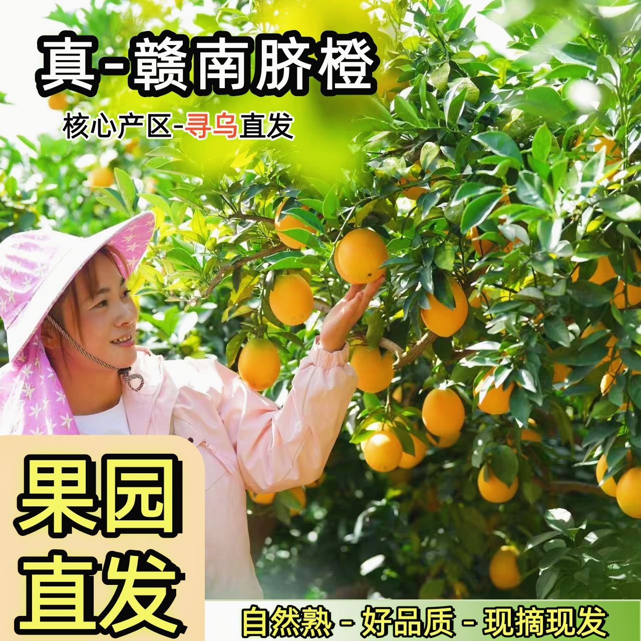 京东包邮赣南脐橙10斤装寻乌新鲜当季孕妇水果产地直发20斤甜橙子