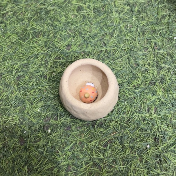 福***气特价多肉花盆百搭