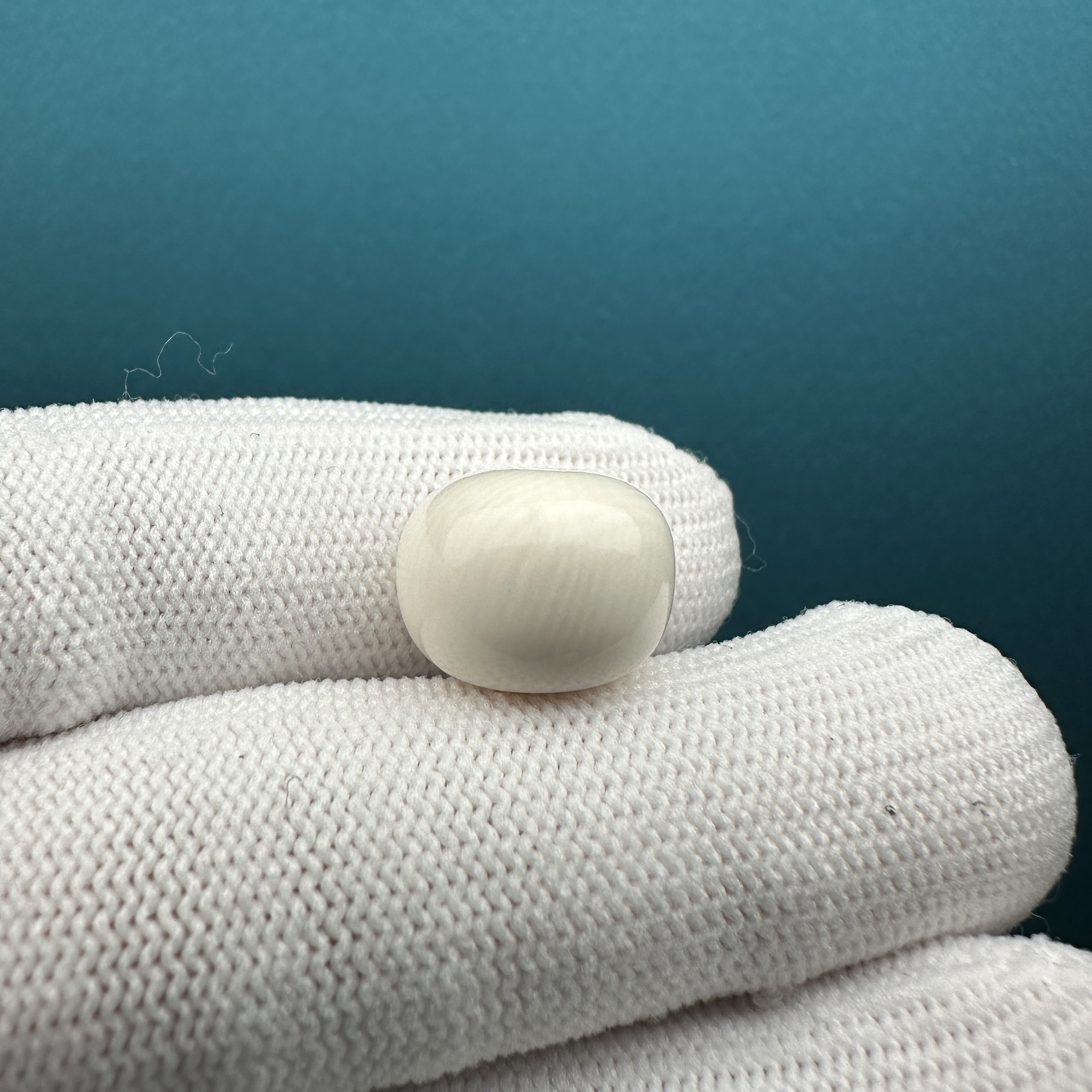 K2163 天然猛犸 微瑕特价桶珠13.6*10.6mm一物一图 假一罚十