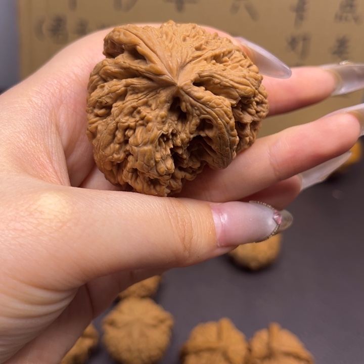 喵***喵菩提籽类粗筋单只异型有瑕