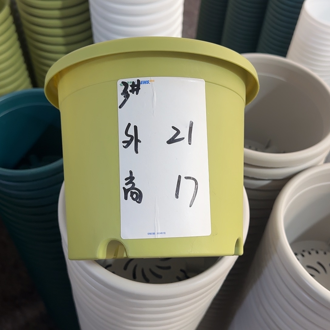 树脂微瑕3号10个无托，果绿