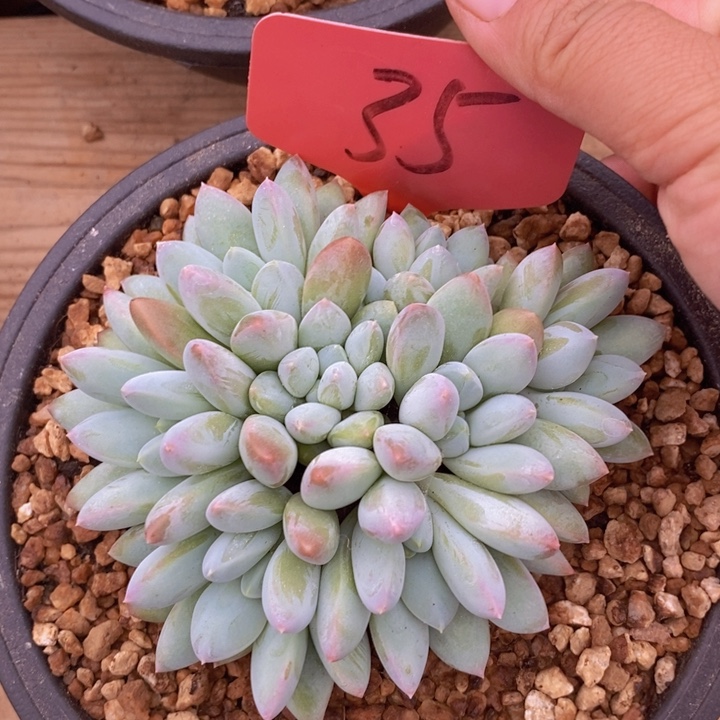 这个我都想了好半天