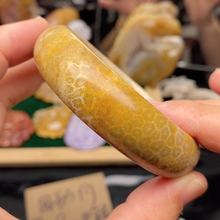 硅化珊瑚（珊瑚玉）手镯未镶嵌57