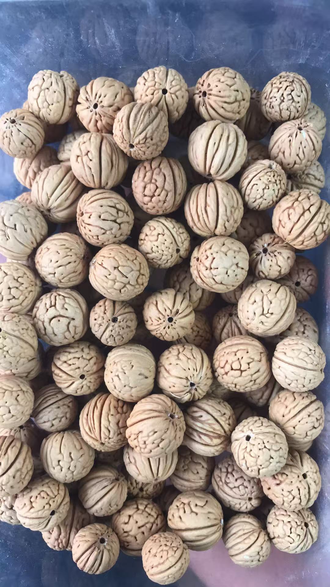 15mm桃核散籽桃核散籽