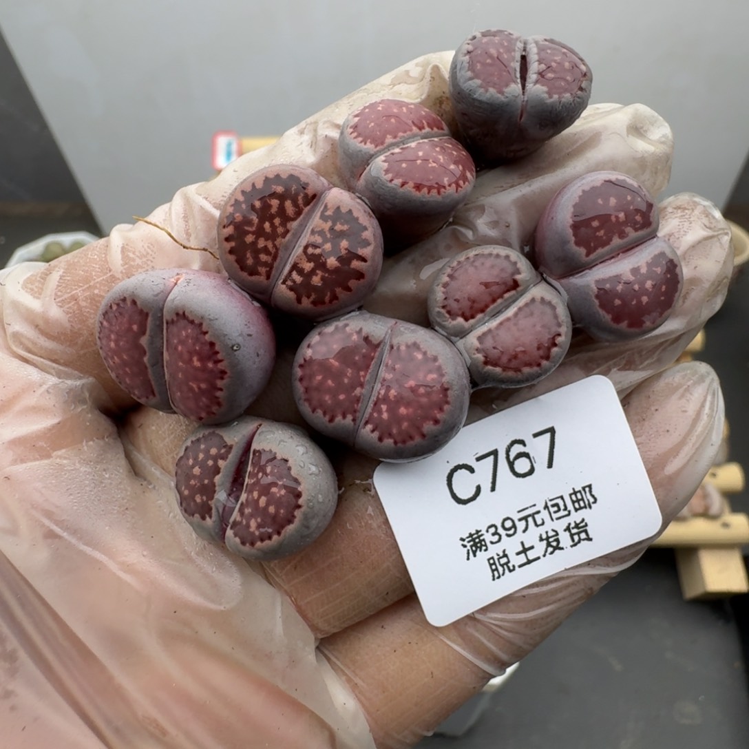 767哈哈哈哈哈哈哈哈