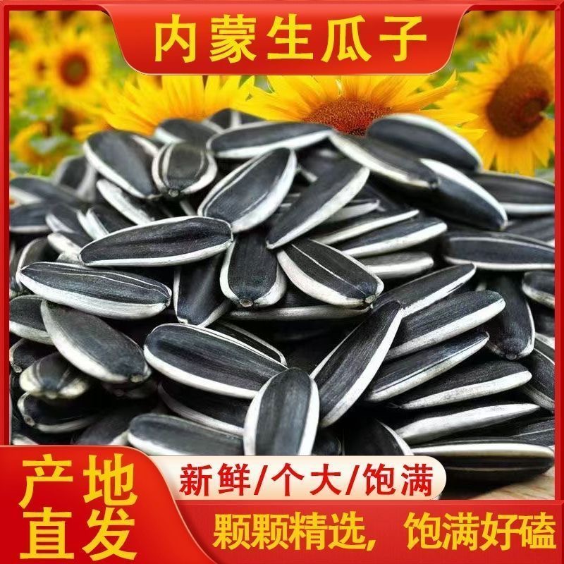 【买一斤送一斤】内蒙古原味生瓜子花皮瓜子中颗粒皮薄易嗑