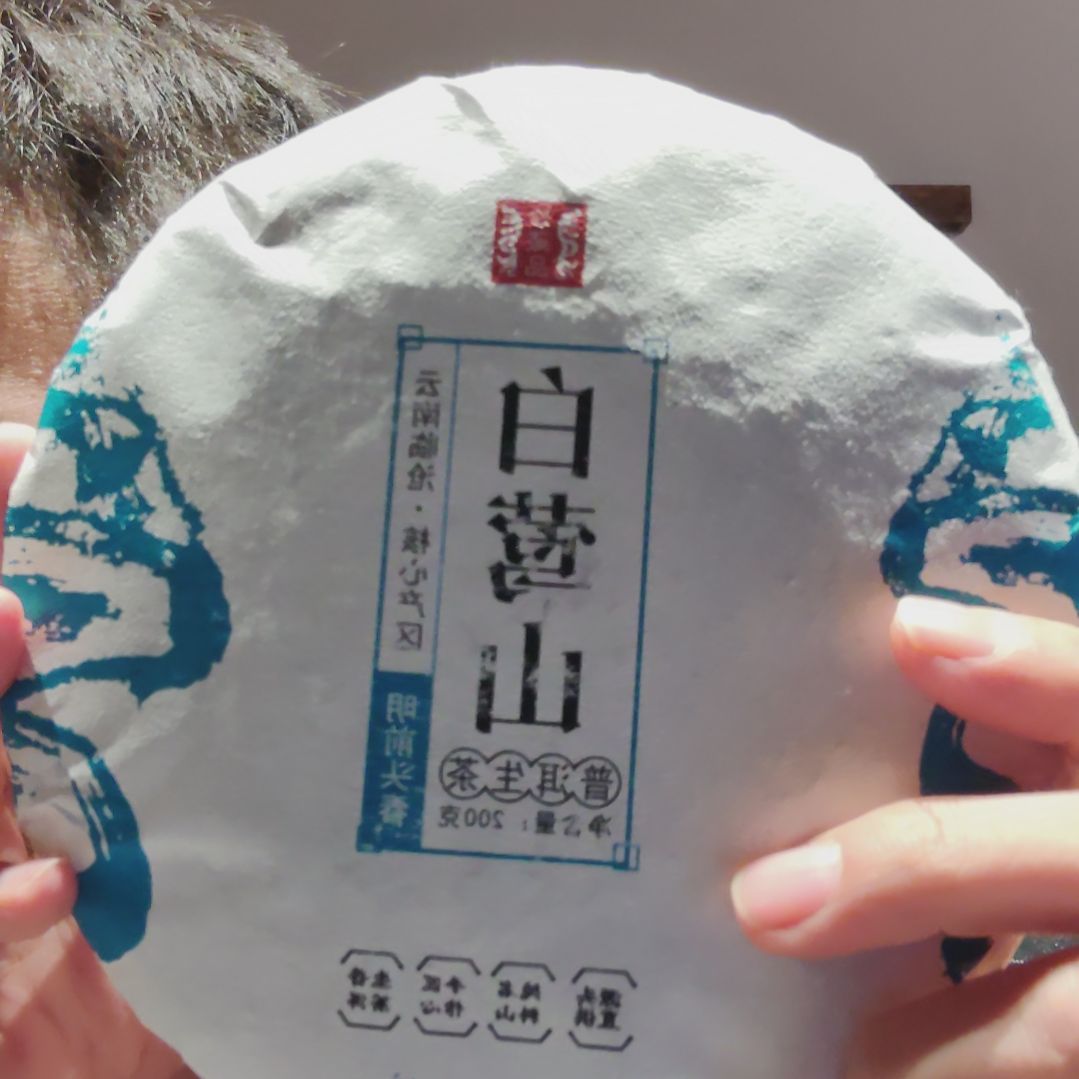 深***渊茶白莺山2023古树头春2饼