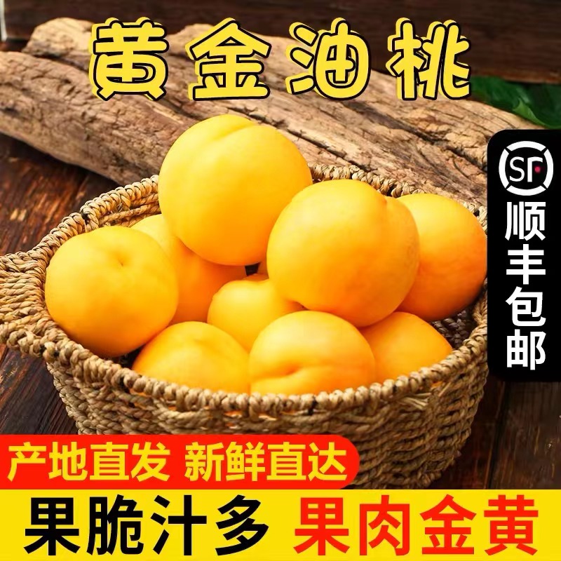顺丰包邮芒果黄金蜜桃新鲜现摘现发货巨甜爆汁装精品礼盒包邮
