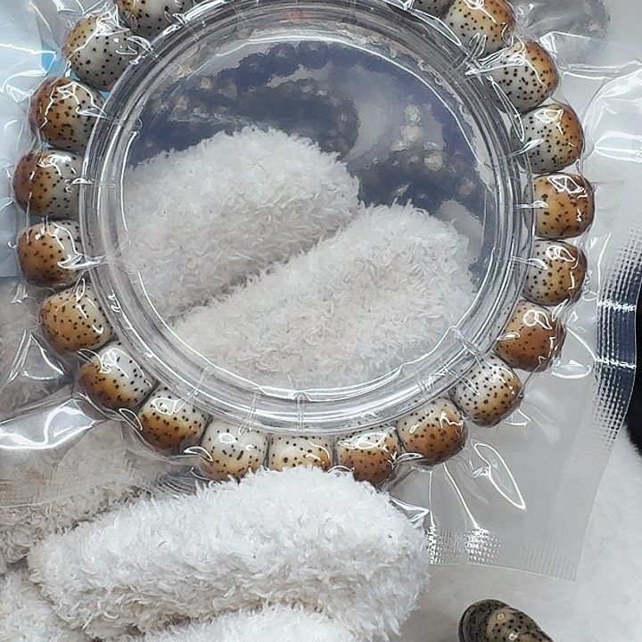 星月菩提手串404高端火烧云星月菩提10桶单圈